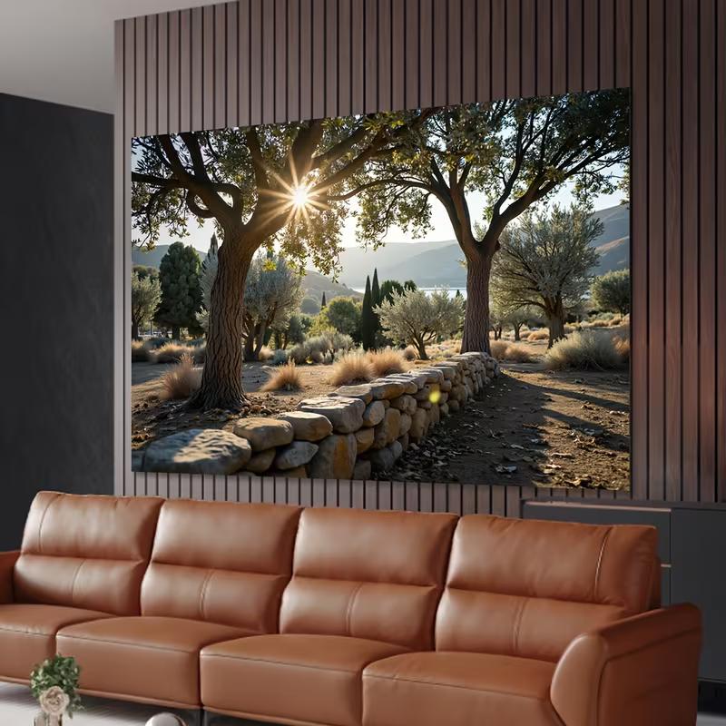 2D Фотофон Закат с Оливковым Деревом Пейзаж Сельской Местности Природа Фон