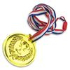 Gold Award Medal Winner Reward Competition Prizes Award Medal For Souvenir Gift