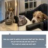 Dog High Chair for Table, Cat Desk Perch, Seatmate Chairs for Dogs, Cat Office Perch Attachment, Pet Feeding Booster Seat, Seat for Pet to Sit Next