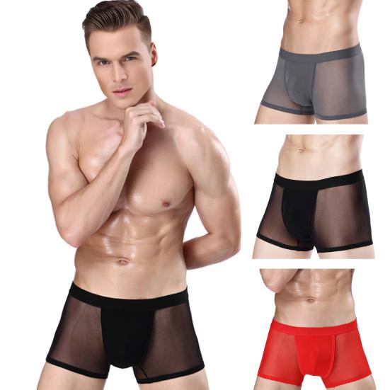 Men Boxer Underwear Mid-rise Perspective Mesh Yarn Sexy Shorts Panties Solid Color Hollow Panties Daily Wear