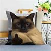 Cat FunnyAbstract Emoji Pillow Cover Removable  Washable Home Cushion Cover