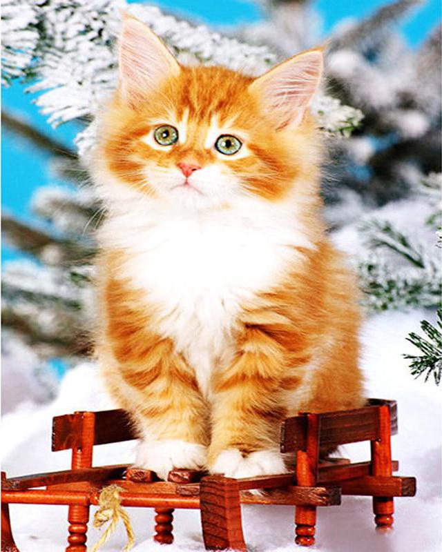 Набор для алмазной живописи кошка собака волк и девушка животное 5D DIY Алмазная вышивка цветок сельский пейзаж вышивка крестиком стразы мозаичное украшение