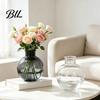 Decorative Resin Flower Pot Clear Round Vase, Transparent Sphere with Jute Artistic Home Decor Vase Bow, Modern Plastic Planter for Hydroponic Plants,