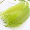 50Pcs Color Full Soft Big Floating Feather Goose Feather Diy Color Feather Headdress Craft Decorative Material
