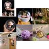 Transparent Acrylic Christmas Ornaments Hanging For Holiday Party Decorations