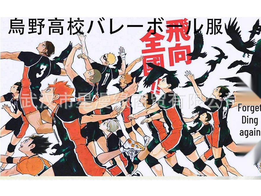 Хайкюу!! Косплей-джерси волейбольной команды старшей школы Карасуно