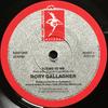 7-дюймовая пластинка RORY GALLAGHER - Seems To Me RORY1 Demon Records 1987 UK Рок Б/У