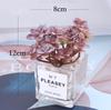 Desktop Bookshelf Decor: Faux Succulent Cactus with Dried Flowers