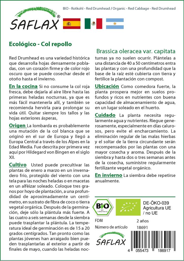 SAFLAX Organic - Красная капуста - Красная головка - 250 семян - Brassica oleracea