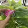 Plant Finger Protector Blade Fruit Picker Vegetable Picking Tool Grafting Tools Garden Supplies