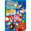 Jigsaw Puzzle Sonic the Hedgehog SONIC THE HEDGEHOG 300 Pieces (300-3028)