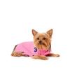 Ralph Lauren Big Pony Cotton Mesh Dog Polo Shirt  Hmpogfthr920016650 
