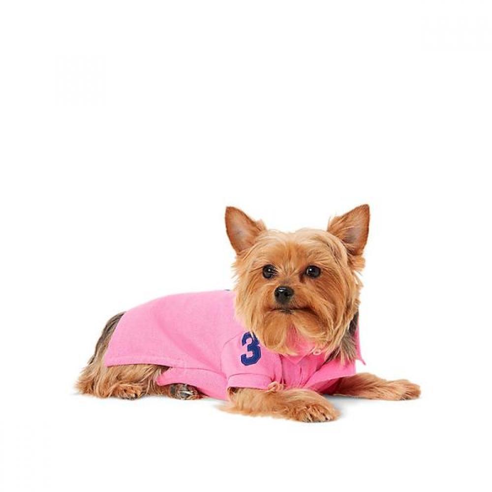 Ralph Lauren Big Pony Cotton Mesh Dog Polo Shirt  Hmpogfthr920016650 