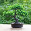 Plastic Simulation Pine Tree Realistic Artificial Bonsai Plants Courtyard