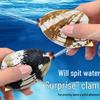 Seashell Clam Press Water Gun - Cute Summer Outdoor Water Play Toy for Kids