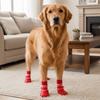 4 pieces/set Waterproof Pet Socks Booties Warm Soft Sole Dog Socks Shoes Adjustable Wear Resistant Dog Knit Socks Walking