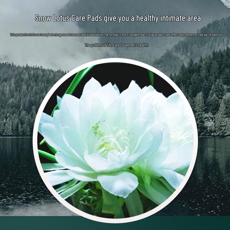 Shu Nai Mei Роскошный набор согревающих прокладок с экстрактом снежного лотоса - 12 штук