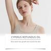 Масло Cyperus Rotundus Care Oil Масло для удаления волос Мягкое питательное и гладкое масло для кожи Мягко уменьшает рост волос Питает и разглаживает кожу, 60 мл