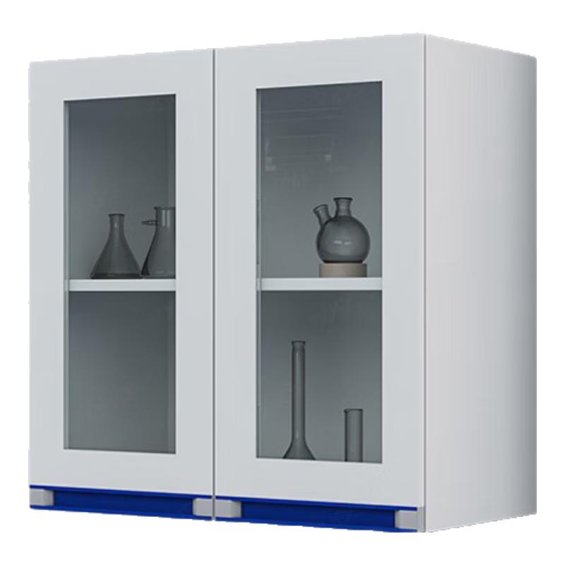 Laboratory Wall-Mounted Storage Cabinet