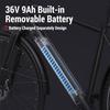 DYU Stroll 1 E-Bike 27.5 ,avec pneus 700 x 38C CST, batterie amovible 36V 9Ah, 250W, 25km/h, noir