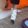 Bow Furs Leg Warmer Winter Furry Long Boot Cuffs Fuzzy Shoe Cover Party Costume for Holiday Festival Performances Play