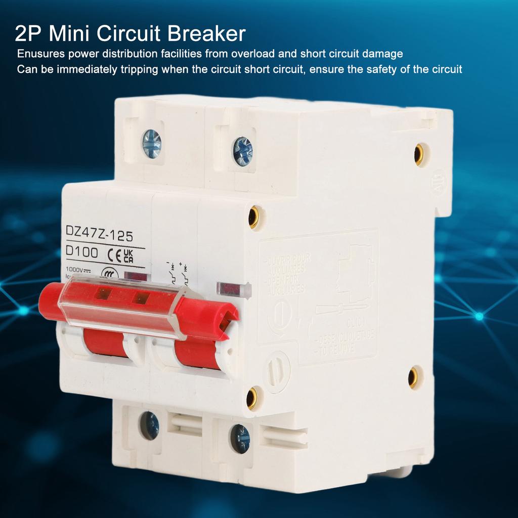 Circuit Breaker 2P D 47 125 100A DIN Rail ature Circuit Breaker for Solar PV System 1000V