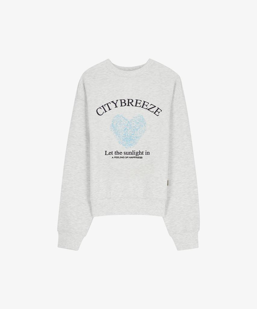 CITYBREEZE Essential Summer Graphic Sweatshirt_3 Colors
