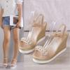 Women's High Heel Wedge Sandals 2024Summer New Ankle Strap Open Toe Sandals for Women Outdoor Dress Office Ladies Heeled Shoes