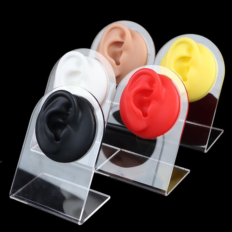 Силиконовые модели ушей, инструменты для пирсинга, ушные шпильки, дисплей с акриловой подставкой
