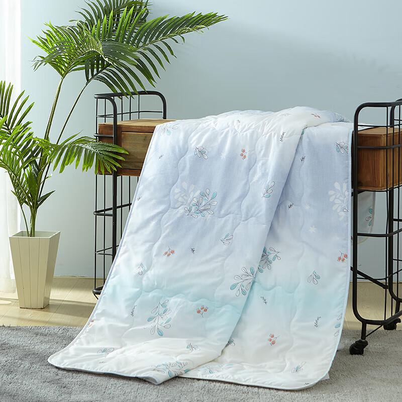 Mengjie Soft Summer Quilt