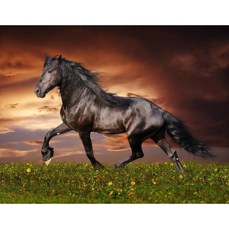 DIY 5D алмазная живопись Животные вышивка крестиком Лошадь Алмазная вышивка полная круглая дрель Стразы Мозаика подарок домашний декор