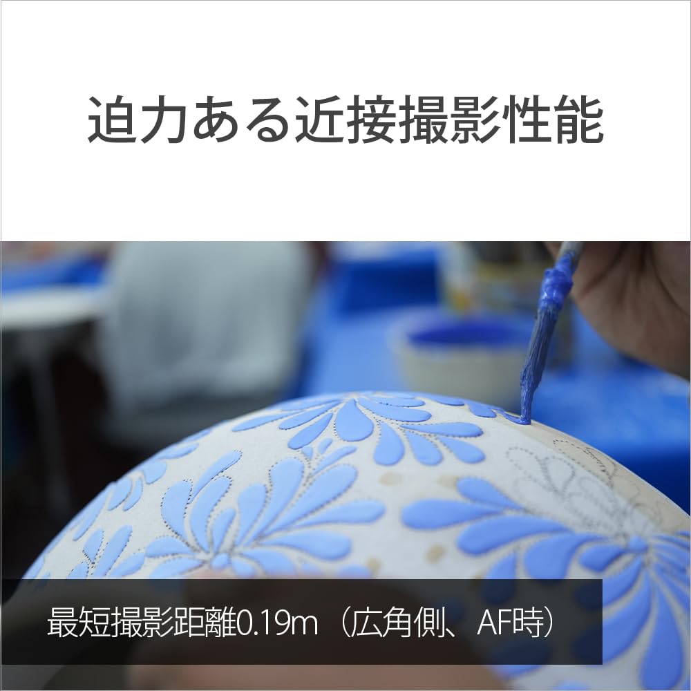 Sony Стандартный зум-объектив полноразмерного FE GG объектива для цифровой однообъективной камеры оригинальный объектив SEL2450G 24-50 мм F2.8 [крепление E]