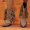 2024 Fashion Ladies Shoes Slip-on Women's Boots Hot Sale Pointed Toe Modern Boots Women New Tassel Square Heel Mid-Calf Boots