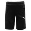 Puma Шорты Zqj 659392 03 Puma Team Goal Casual Short Asia Sp