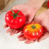 5pcs Mini Artificial Tomato Ornament Lifelike Fake Vegetables Props  Fruit Shop Decoration