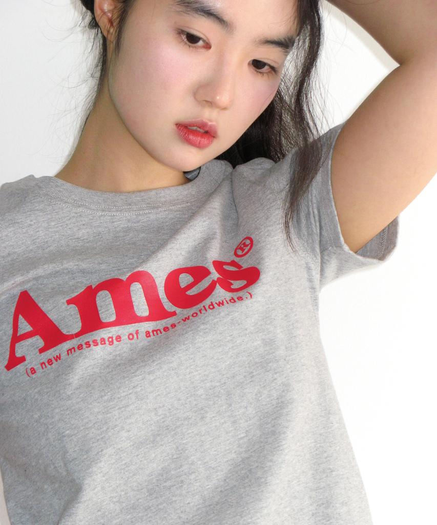 AMES-WORLDWIDE Базовая футболка с логотипом Серая