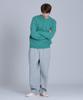 BASIC HOUSE Cable Round Neck Knit Mint Lykt7101 (Type A)