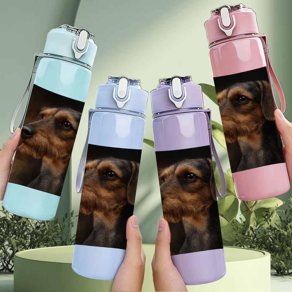 1PC Dog Lying On Dark Pillow 750ml Color Plastic Sports Water Bottle Leakproof Flip Straw Lid Suitable for Sports Office Home Use