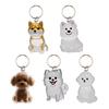 Keychain Pet Style Collect Pet Hair Transparent Pendant Keyring Bag Pendant Key