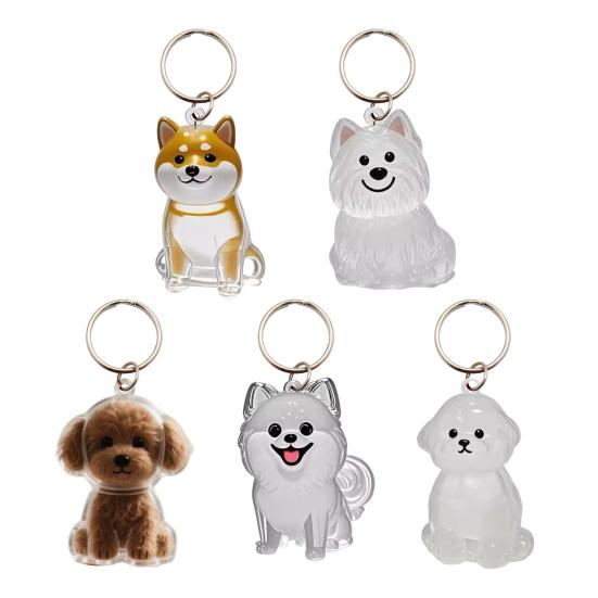 Keychain Pet Style Collect Pet Hair Transparent Pendant Keyring Bag Pendant Key