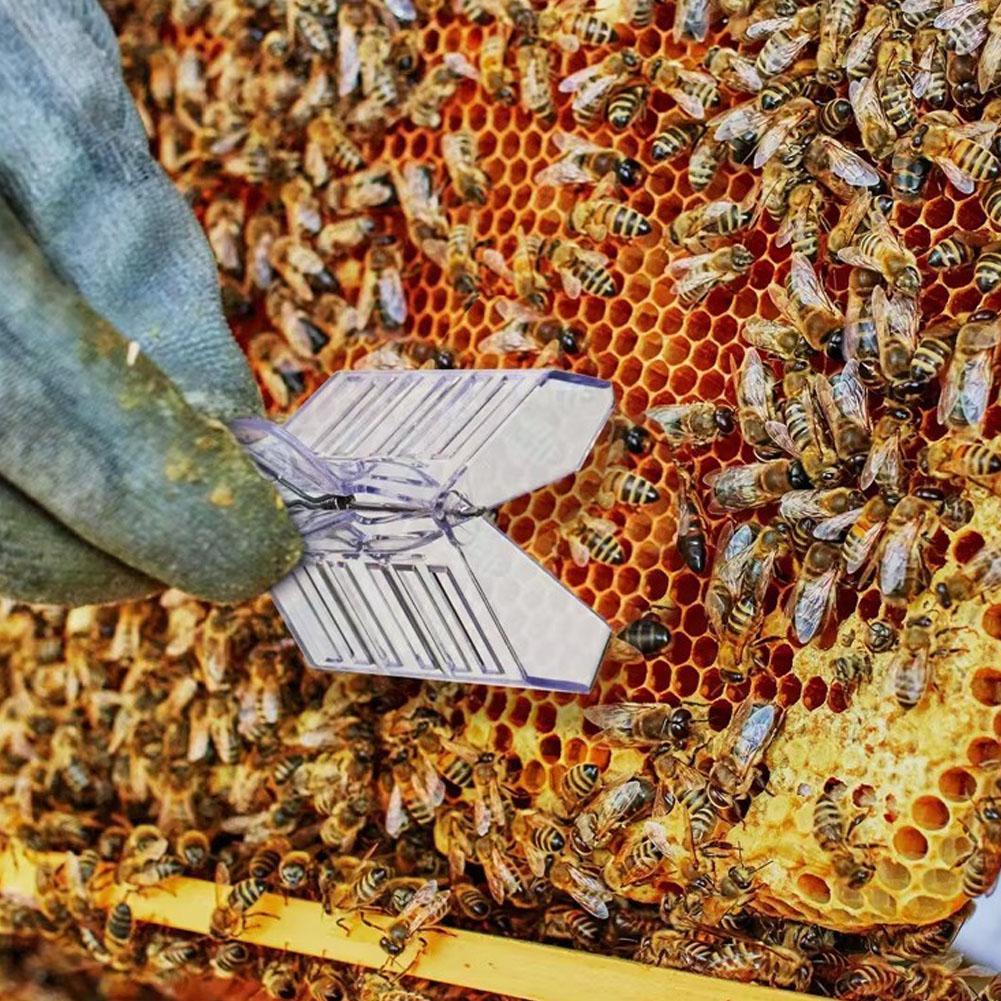 1/5 шт. Ловец пчелиной матки Бесцветный прозрачный пластиковый зажим Инструмент Клетка пчеловода Оборудовать Изоляция помещения U1L2