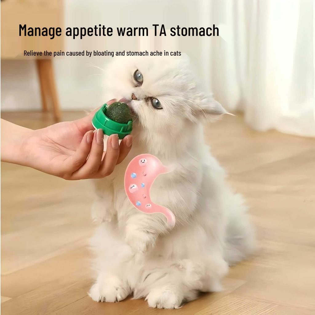 Catnip Ball Toy: Teeth-Cleaning, Bite-Resistant, Self-Play Rotating Teaser for Cats