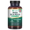 Irish Sea Moss Tablets High Strength 6000mg – Irish Sea Moss Supplement 120 Vegan Tablets High Potency - UK Made - Non-GMO by Prowise
