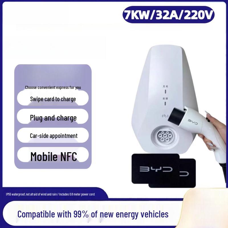 QUEED BYD 7000W EV Charger Plug (CN version)