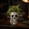 Украшение для Хэллоуинской вечеринки Готлический Череп Горшок с Дизайном Среднего Пальца, Скелет из Смолы Цветочный Горшок Маленький Папоротник Посадка для Суккулентов, Забавный
