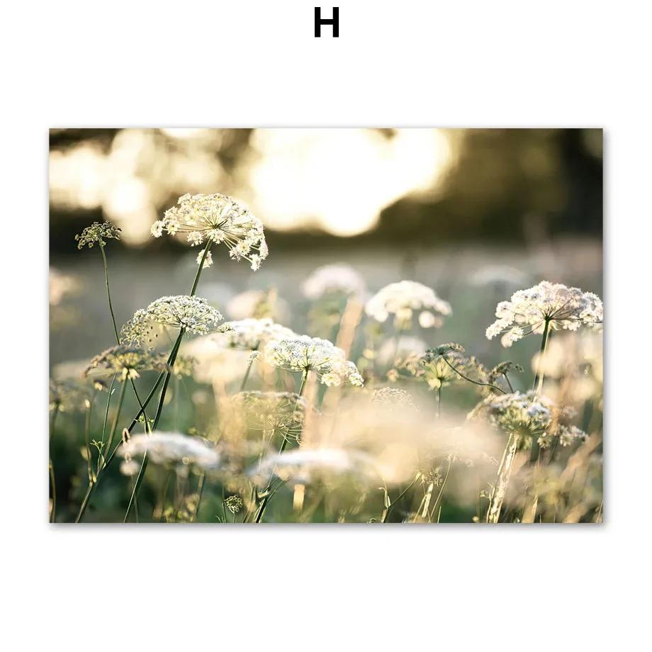 Озеро Мост Гора Лес Трава Лодка Настенное Искусство Холст Живопись Скандинавские Постеры и Принты Настенные Картины для Декора Гостиной