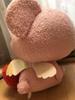 [USED] Teddy bear pink teddy bear