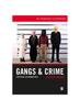 Книга Gangs & Crime: Critical Alternatives