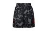 X BAPE Dame 9 FW24 Баскетбольные шорты Мужские Угольно-серые JF1153