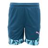 Puma Шорты Store Edition Zqj 659359 56 Puma Individual Final Short Asia Ap